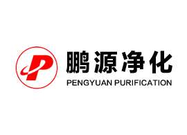 中共中央 國(guó)務(wù)院關(guān)于促進(jìn)民營(yíng)經(jīng)濟(jì)發(fā)展壯大的意見(jiàn)